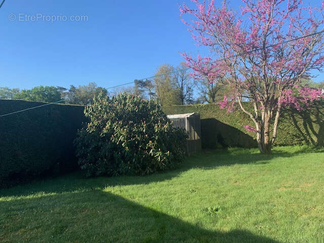 Maison à SAINT-GERAND