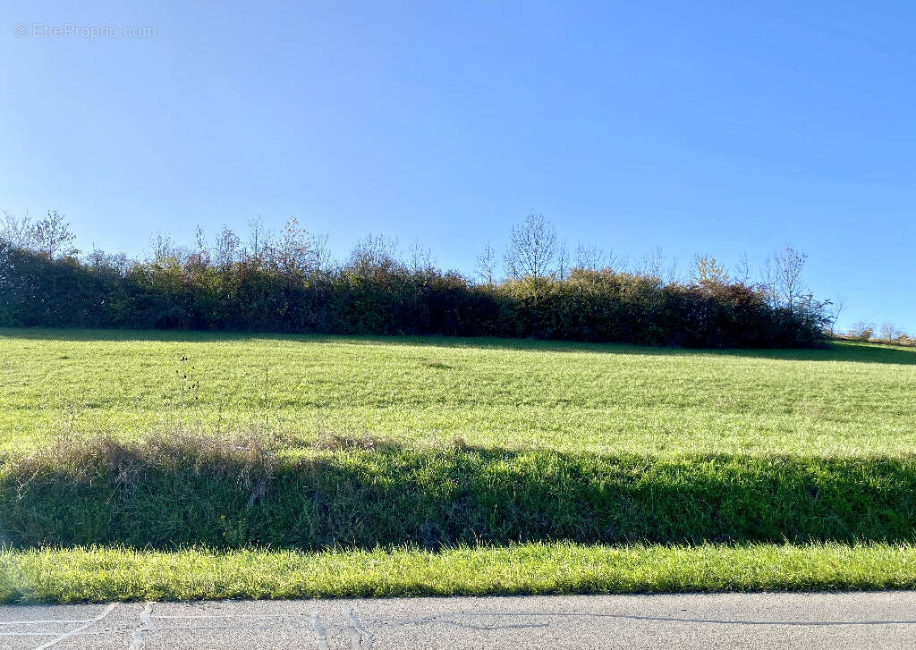 Terrain à BOUZONVILLE