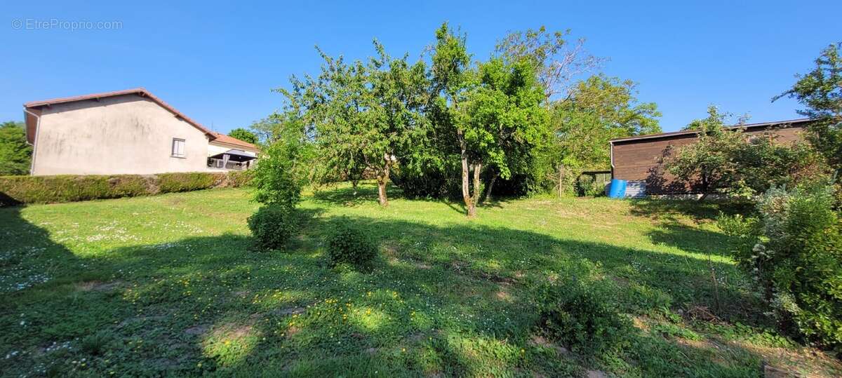 Terrain à CHATEAU-SALINS