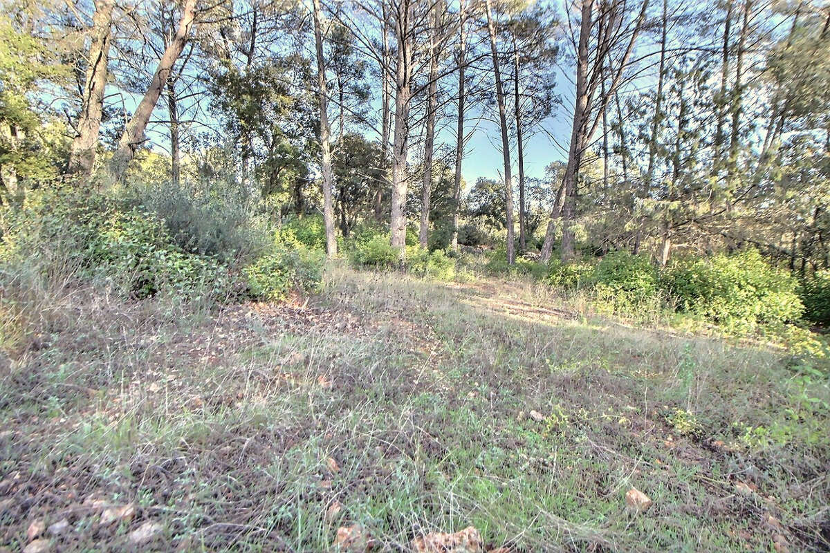 Terrain à TRANS-EN-PROVENCE