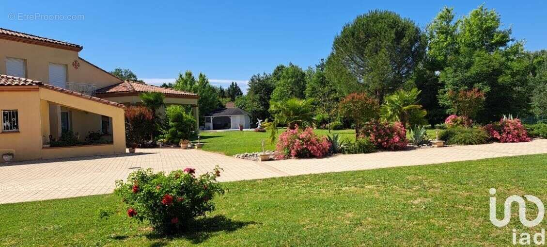 Maison 243 m² à Lempaut  - photo 6