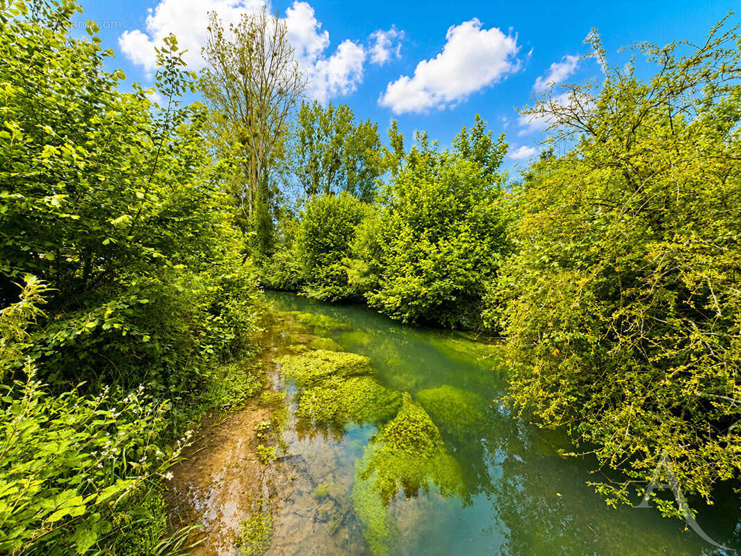 Exceptionnel domaine nature de près de 3 hectares avec étangs et rivière - photo 6