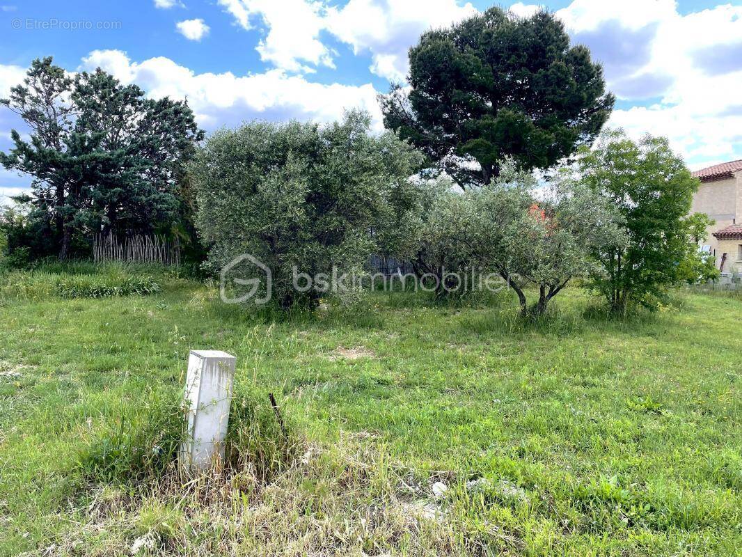 Terrain à MONTPEYROUX
