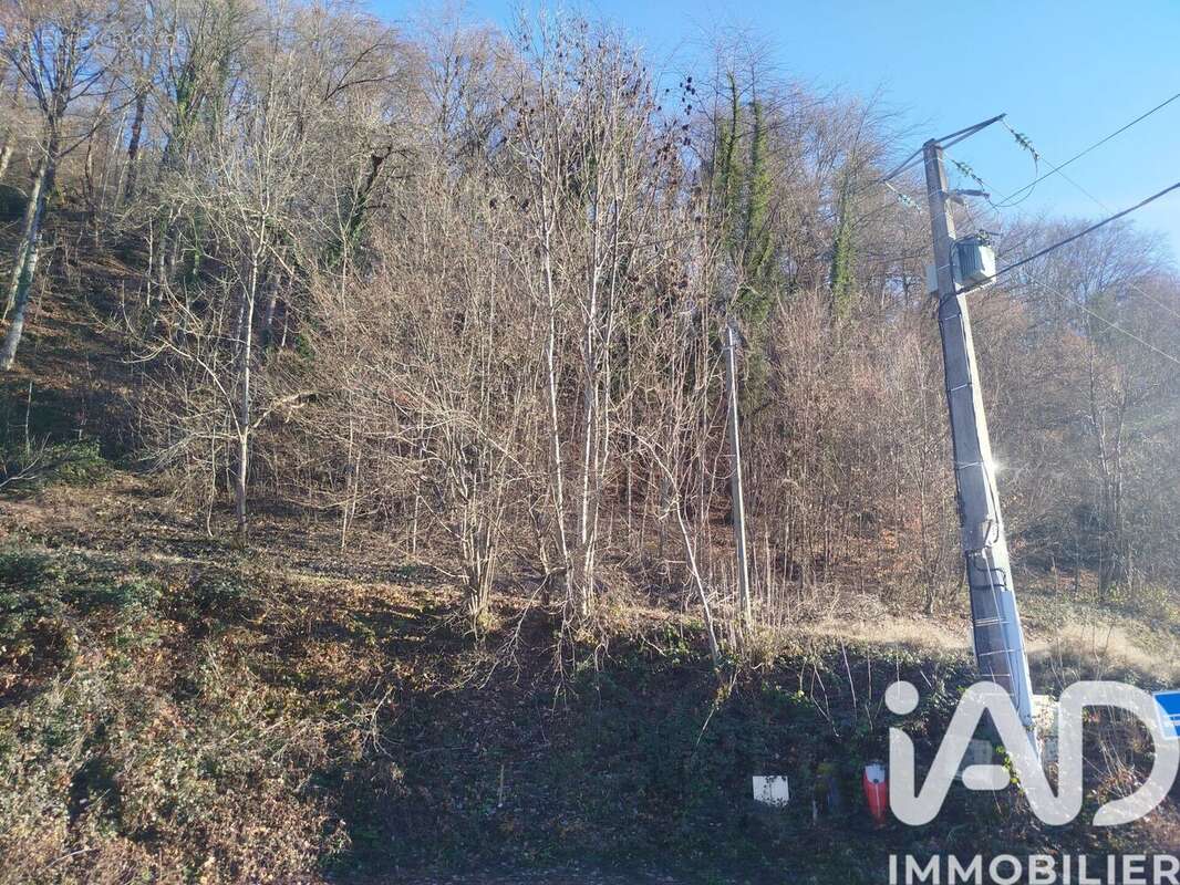 Photo 4 - Terrain à CESARCHES