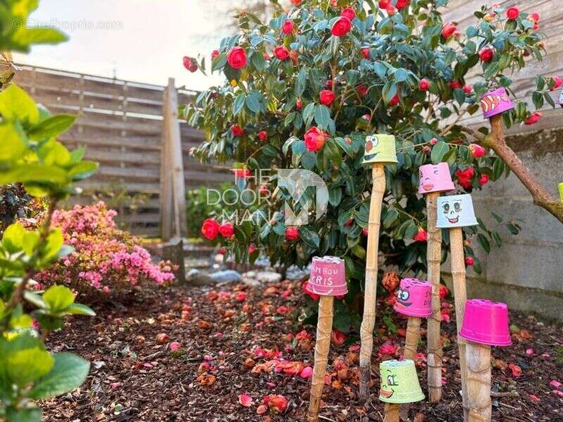 Maison à SAINT-JEAN-DE-BOISEAU