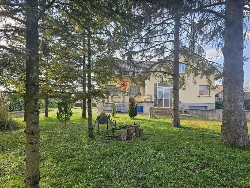 Maison à OTTMARSHEIM