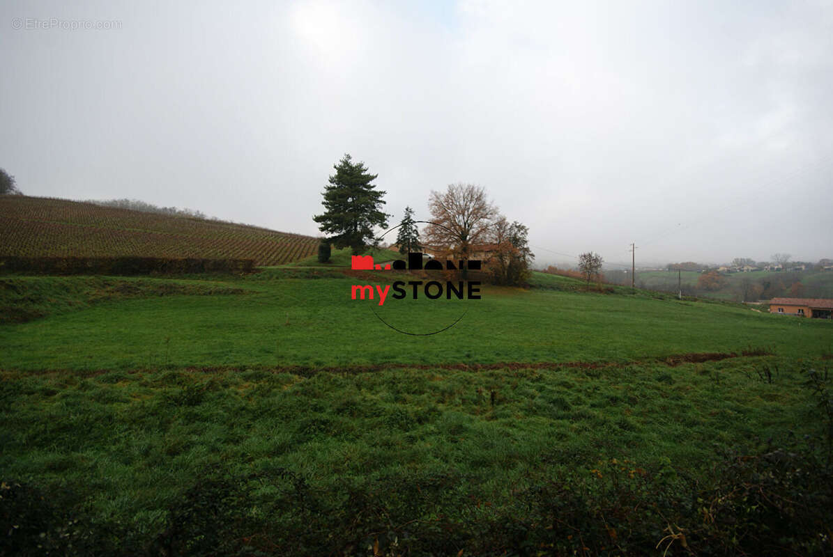 Terrain à SAINT-AMOUR-BELLEVUE