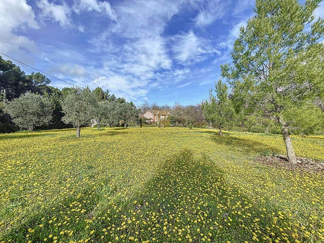 Maison à CARPENTRAS