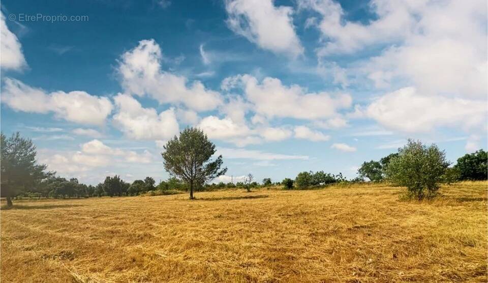 Terrain à VILLENEUVE-MINERVOIS