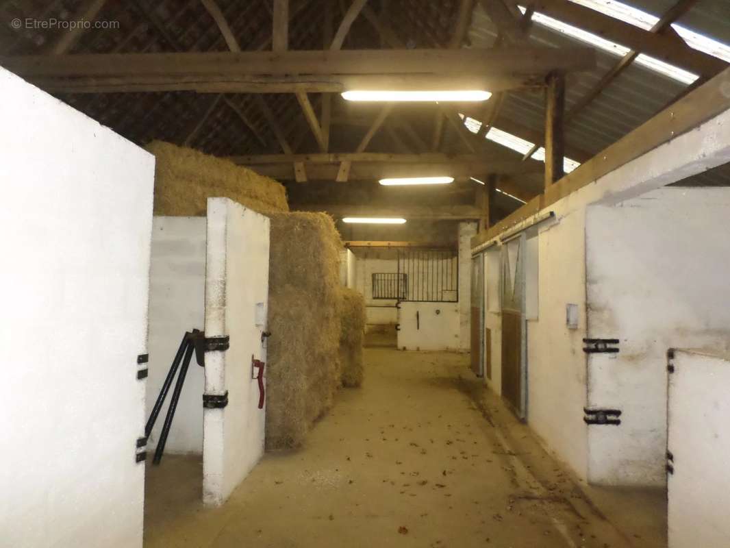 Maison à SAINT-MARTIN-CHOQUEL