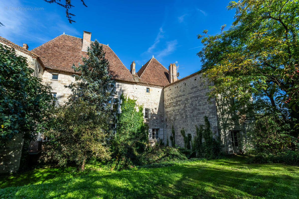 Château de luxe familial avec installations pour événements - photo 16