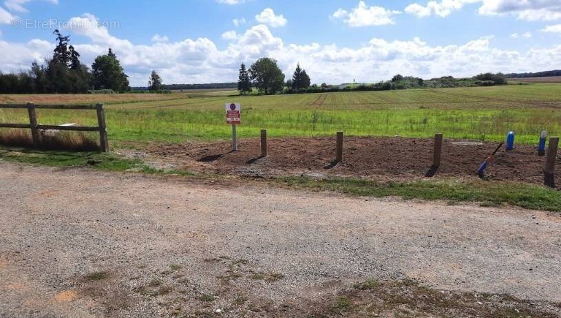 Terrain à GROSSOEUVRE