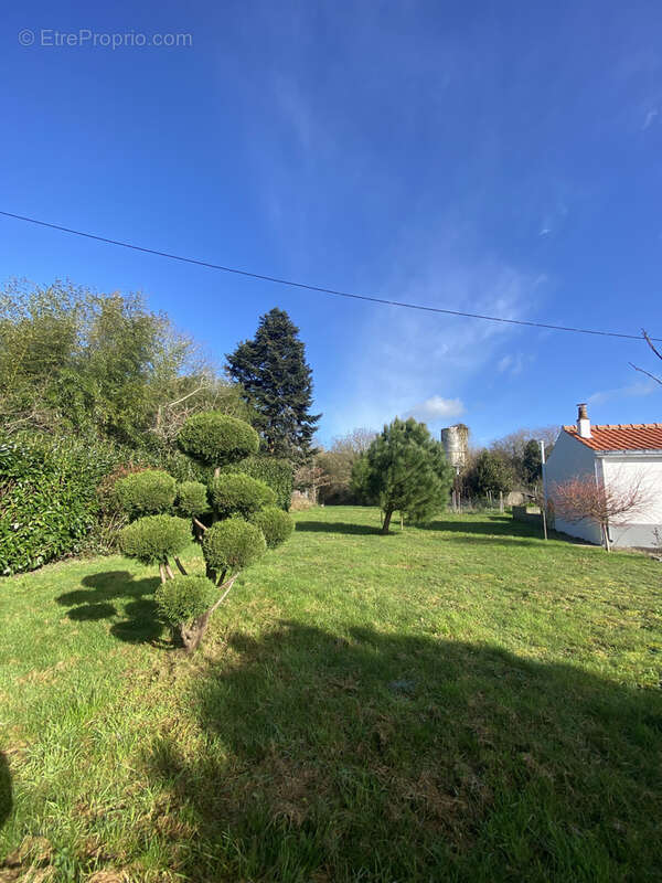 Challans - viager occupe d'une maison 3 chambres avec dependances - photo 14