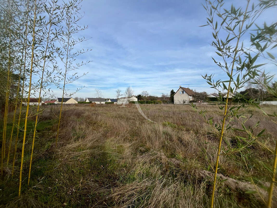 Terrain à LES MONTILS