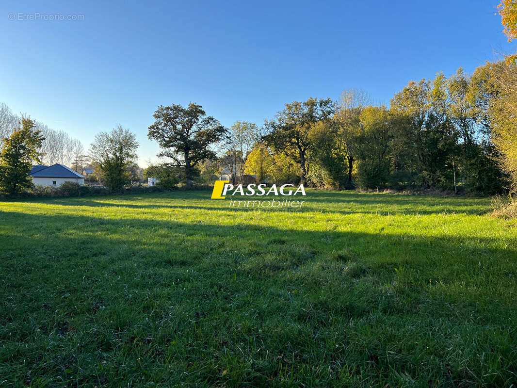 A VENDRE - Terrain à bâtir 3 200 m² -  BERTHOLENE - photo 4