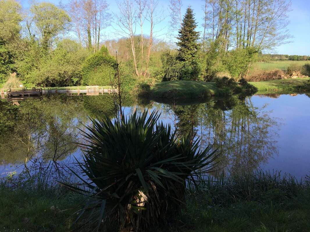 Terrain à MONTFORT-LE-GESNOIS