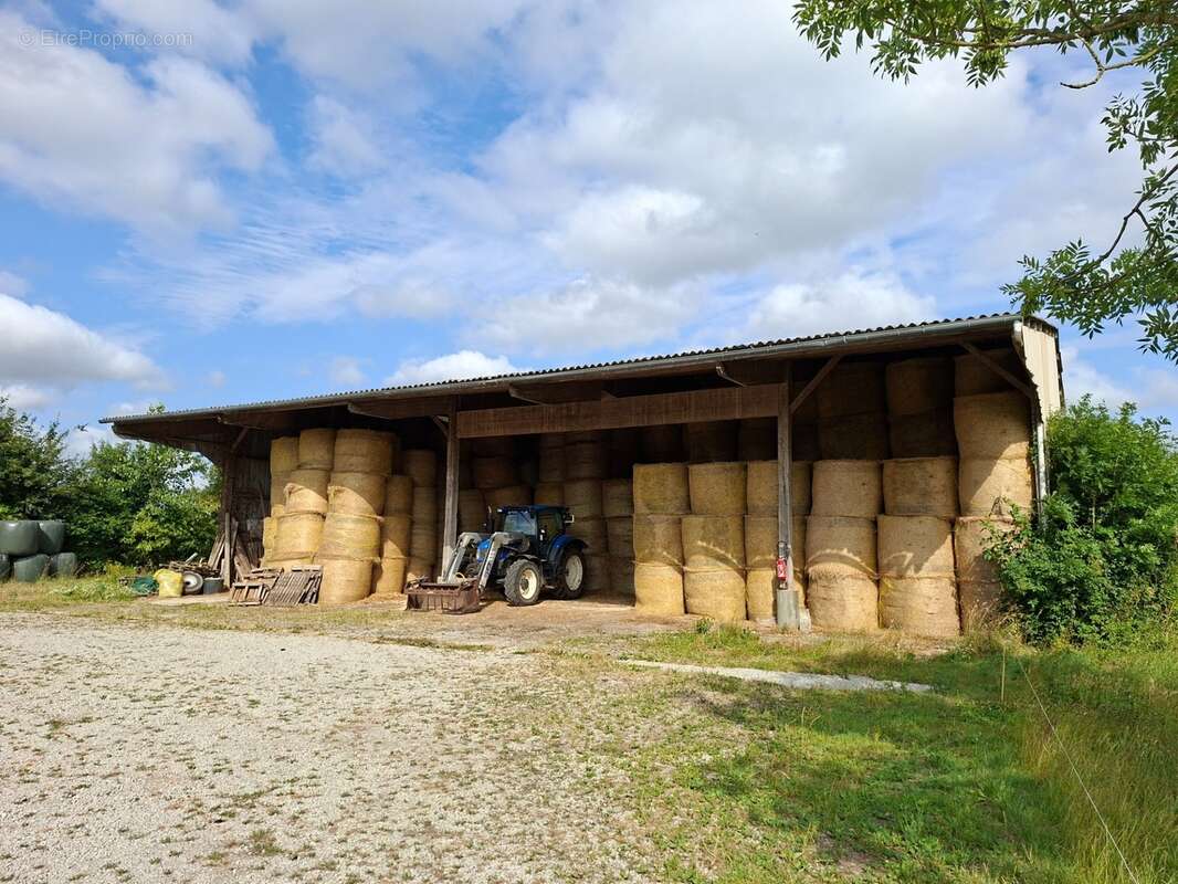 Propriété Corps de Ferme, 3 batisses en pierre, Batiments agricoles, gite & habitation de Qualité, proche LE PERCHE, ALENCON, 2h - photo 14
