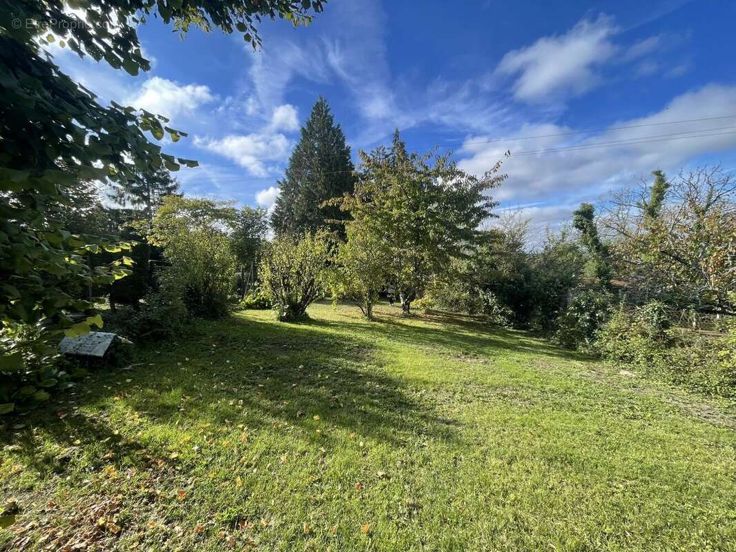 beau terrain plat - Maison à BOULAZAC