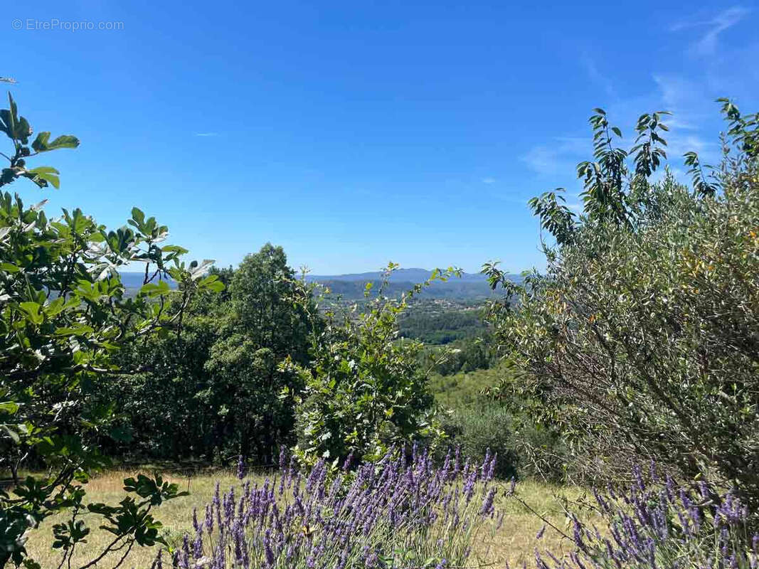 Dans un hameau typique, un ensemble immobilier de 3 maisons avec 8300 m2 de terrain et une vue splendide. - photo 43