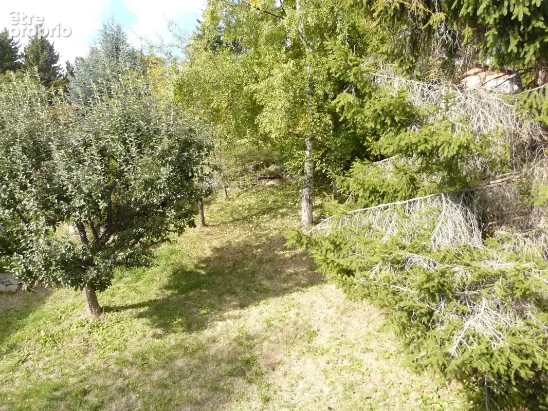 FONT-ROMEU - A vendre chalet accolé avec jardin et garage - photo 2