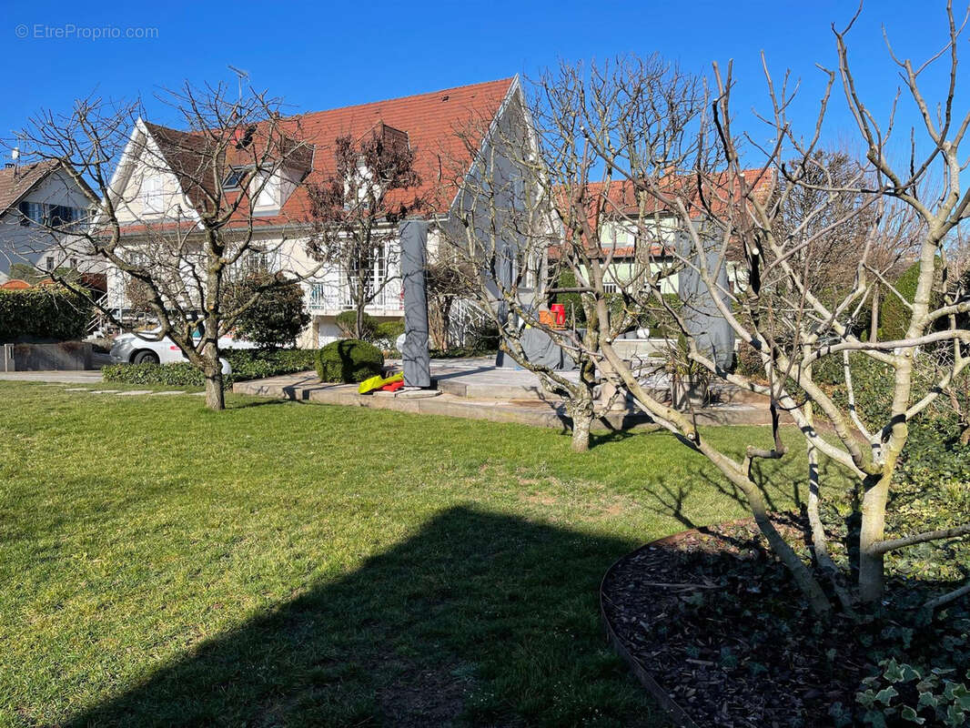 Pfastatt grande propriété familiale - photo 2