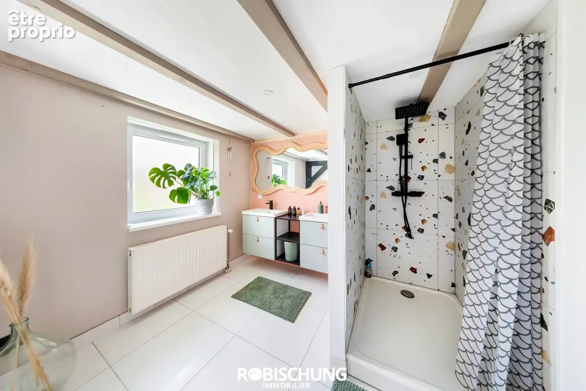 Secteur DANNEMARIE à TRAUBACH LE BAS : Ensemble immobilier plein de potentiel ! - photo 9