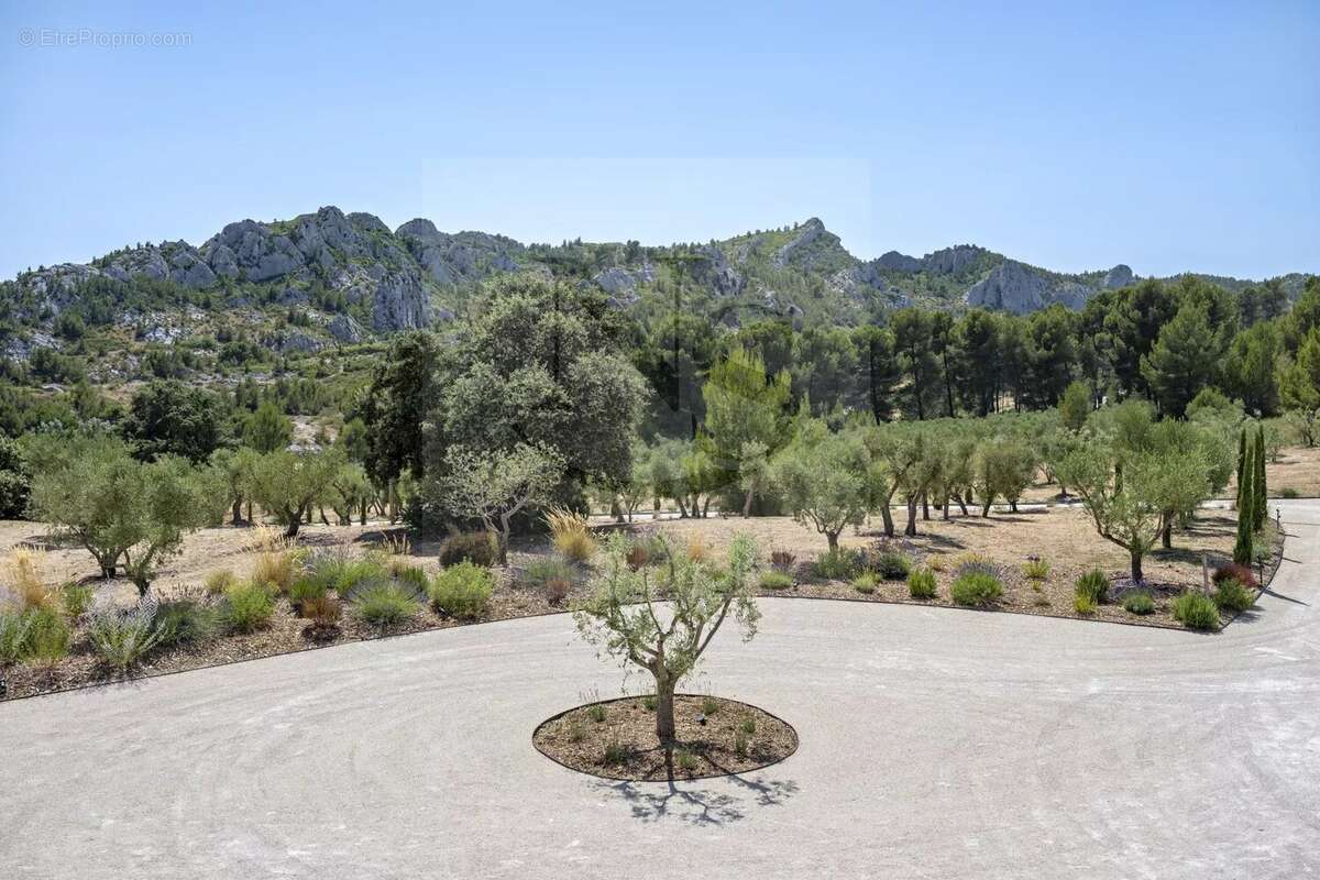 Maussane-les-alpilles / propriété de maître - photo 48