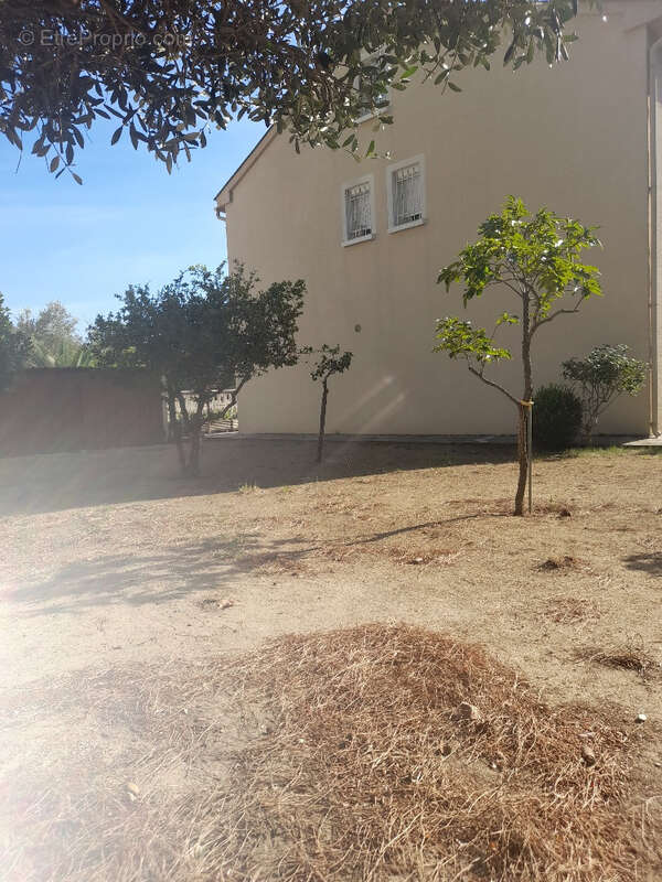 Patrimonio :  : villa avec 5 pièces à vendre - photo 10