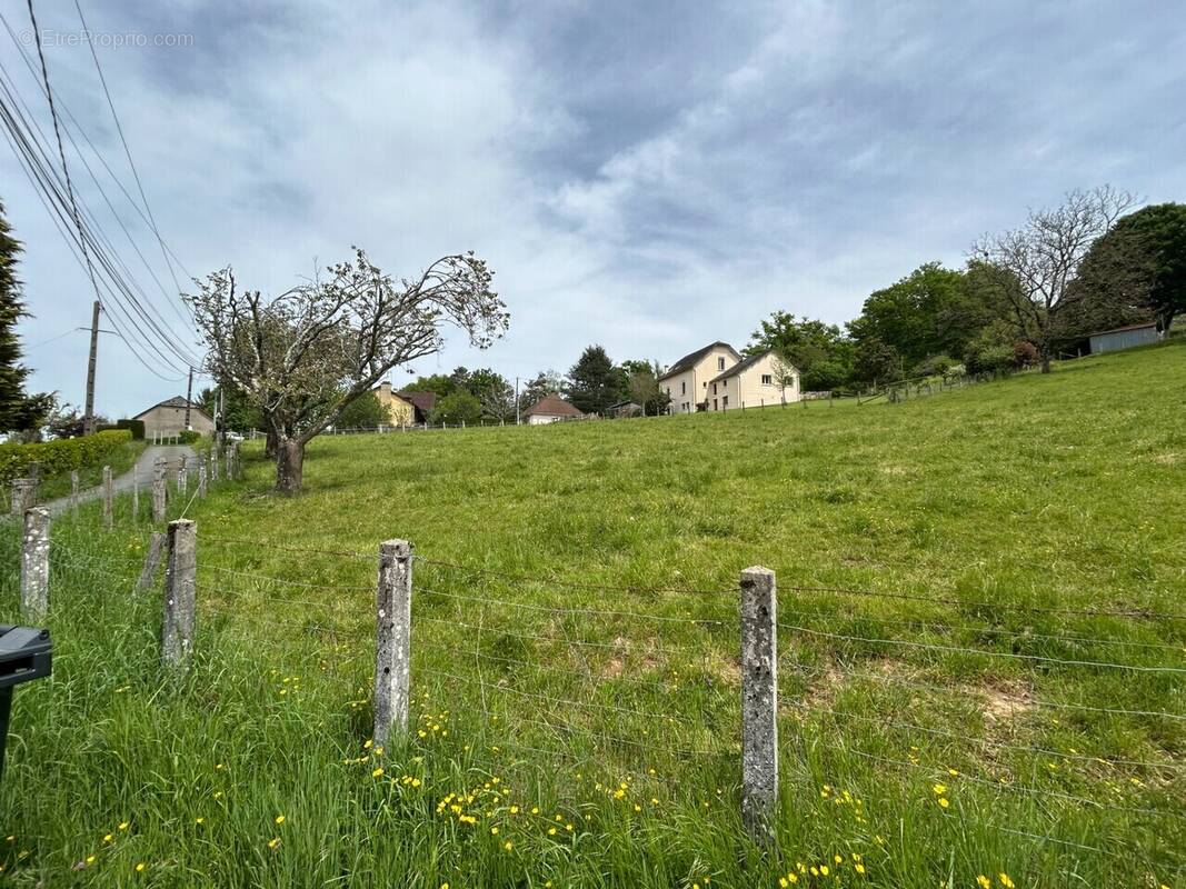 Terrain à SAINTE-FORTUNADE