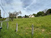 Terrain à SAINTE-FORTUNADE