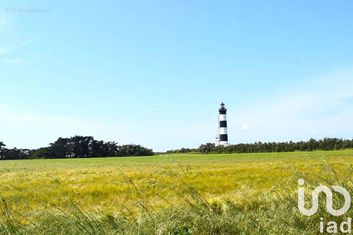 Photo 7 - Terrain à SAINT-DENIS-D'OLERON