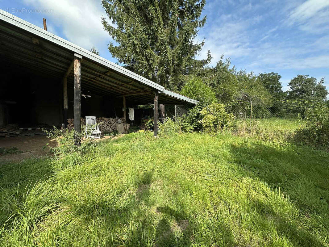 Maison à NEUVILLER-LES-BADONVILLER