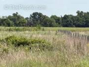 Terrain à LE BORN