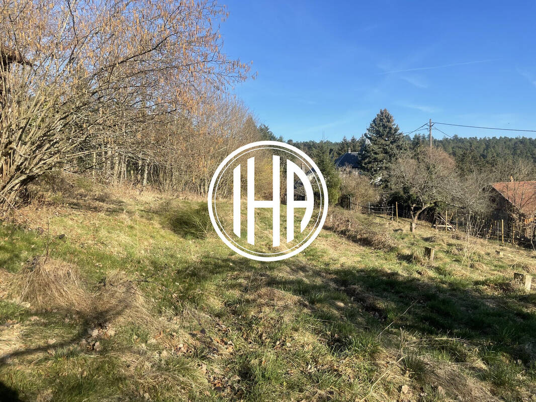 Terrain à THANNENKIRCH