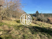 Terrain à THANNENKIRCH