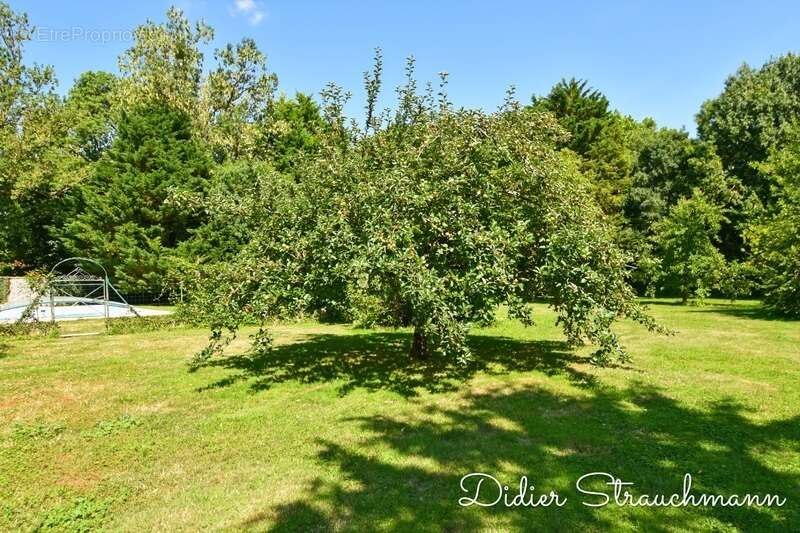 Maison à AIGREFEUILLE-D&#039;AUNIS