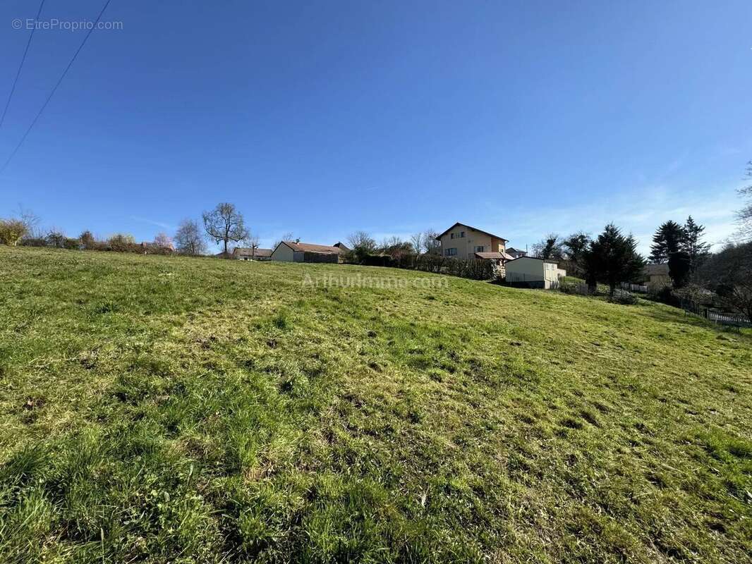 Terrain à CORBELIN