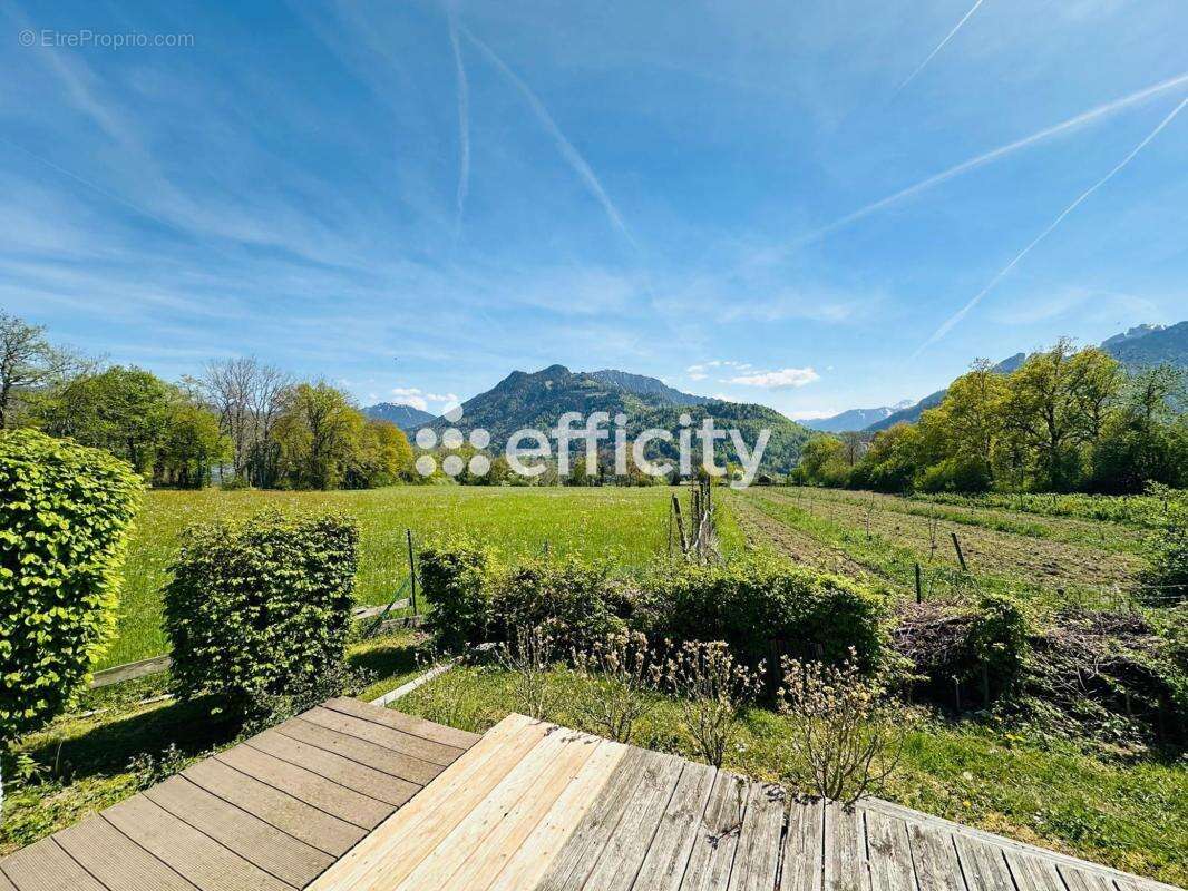 Terrain 3353 m² à Vinzier  - photo 3