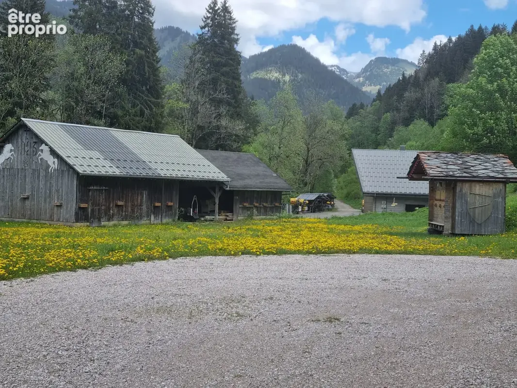Exclusivité Restaurant et logement de tourime au pied des pistes de CHATEL - photo 5