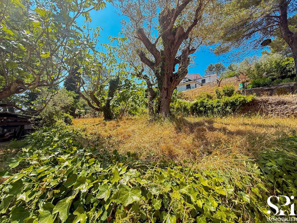 Solliès-Pont- Les Aiguiers - Terrain constructible 1 754 m2 - photo 3