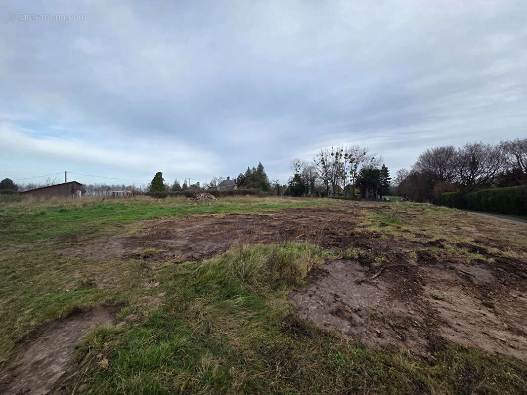 Terrain à LE LANDIN