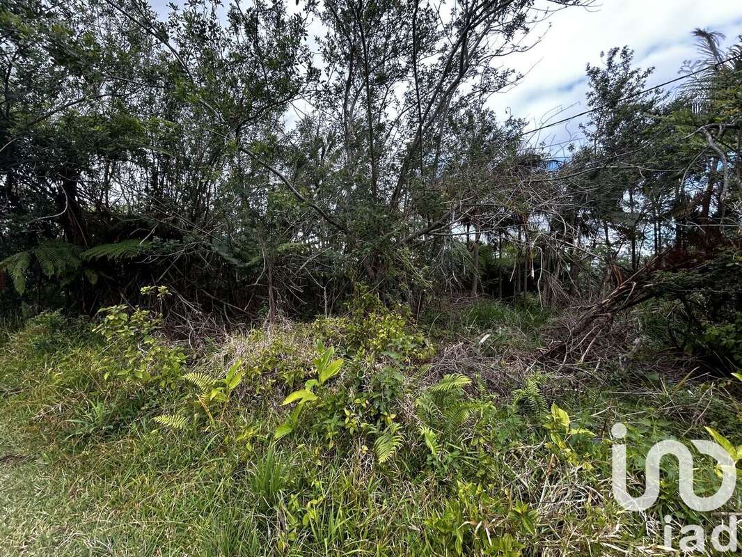 Photo 5 - Terrain à SAINT-JOSEPH