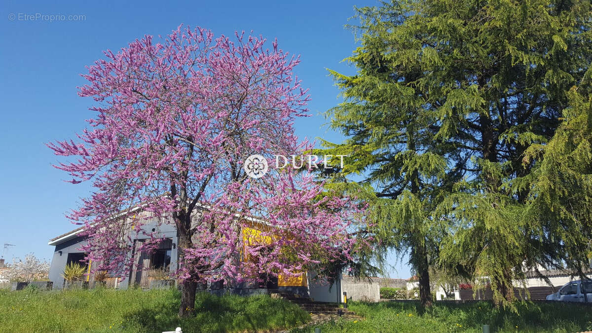 Maison à LA BRUFFIERE