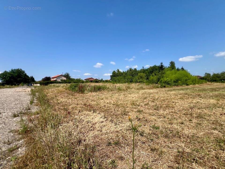 Terrain à REPLONGES