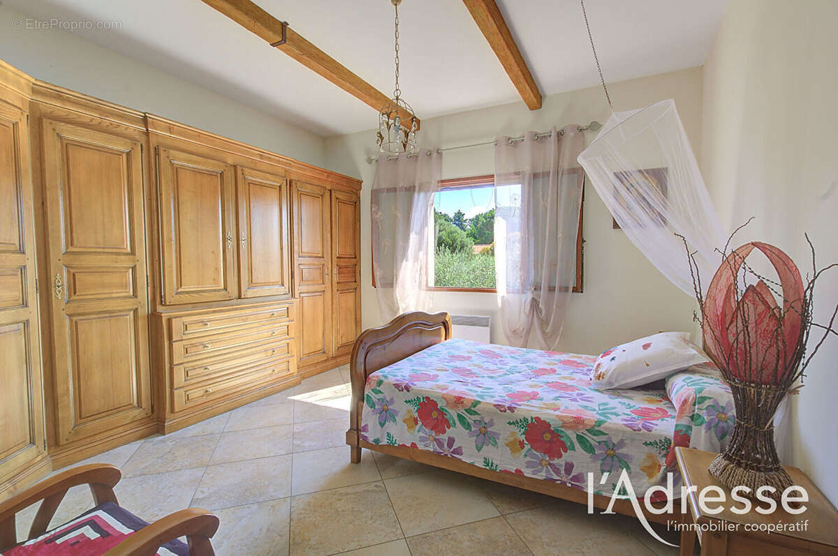 LUCCIANA  - propriété familiale de 202 m² au coeur d'une oliveraie - photo 10