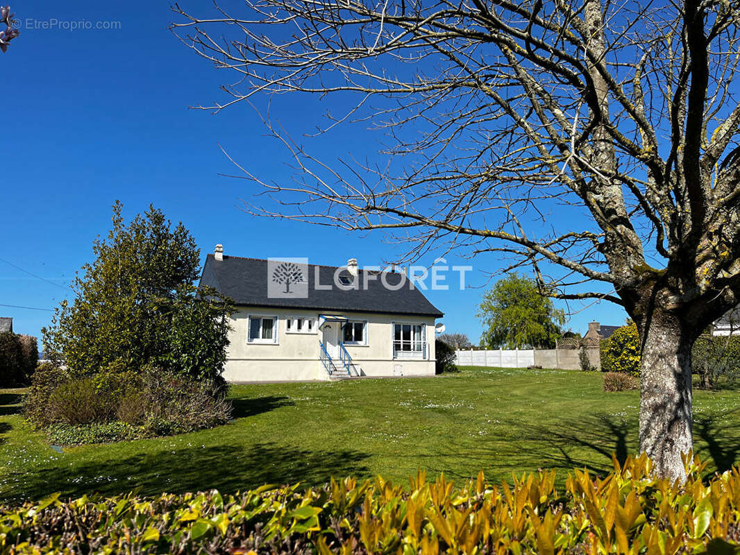 Maison à TREVOU-TREGUIGNEC