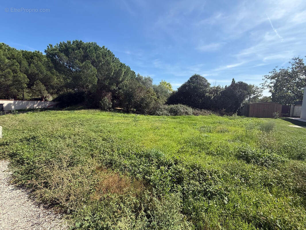 Terrain à TOURNEFEUILLE