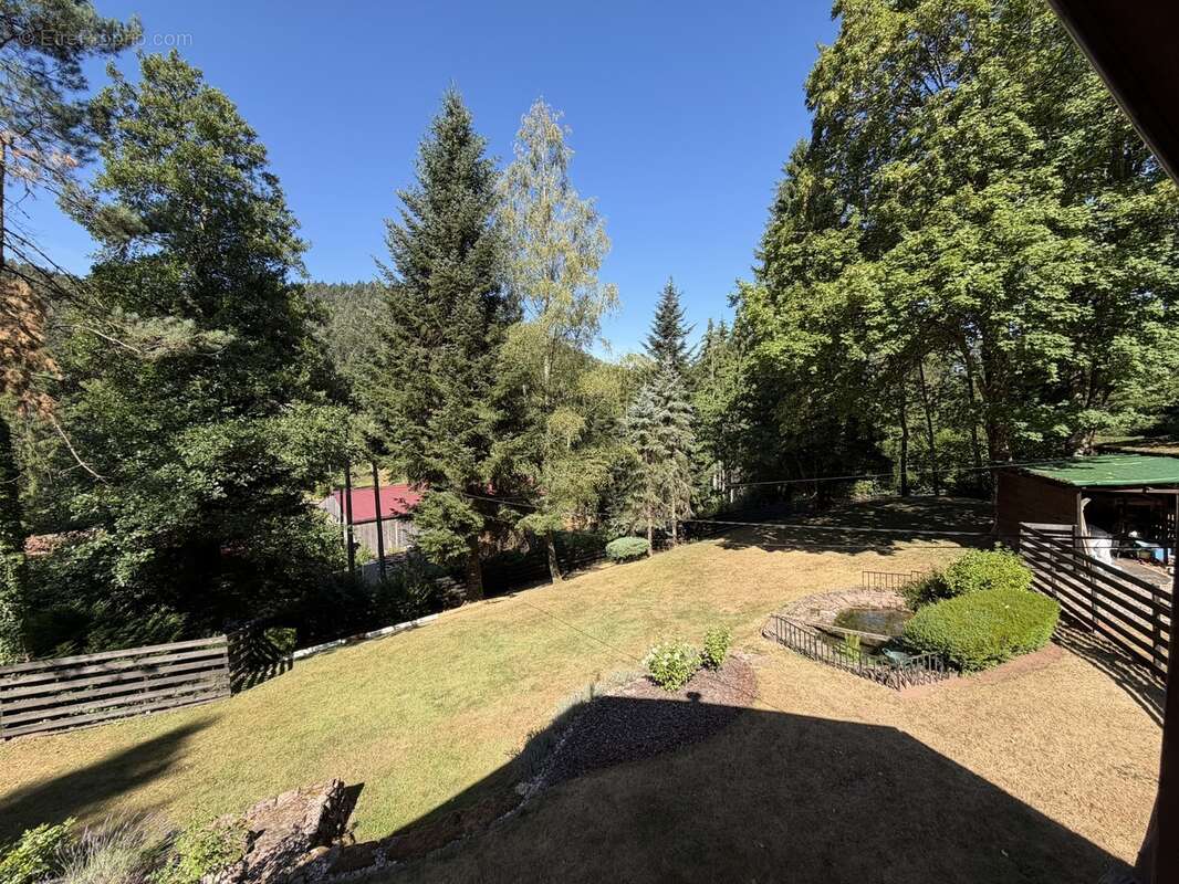 Magnifique ferme dans la forêt  - photo 20