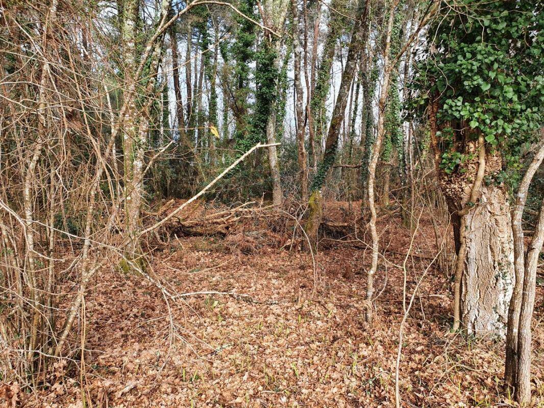 Terrain à VIELLE-SAINT-GIRONS