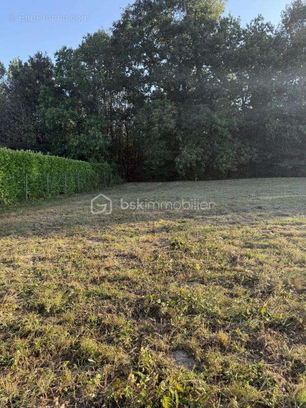 superbe terrain constructible plat - photo 2